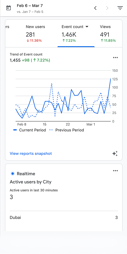 Google Analystics Mobile View